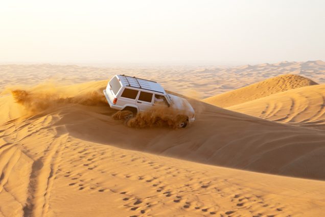 vip desert safari