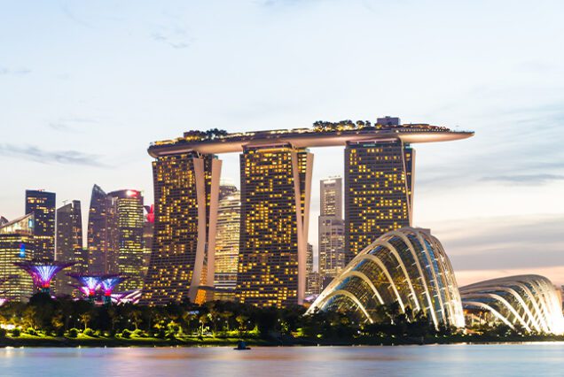 singapore visa documents