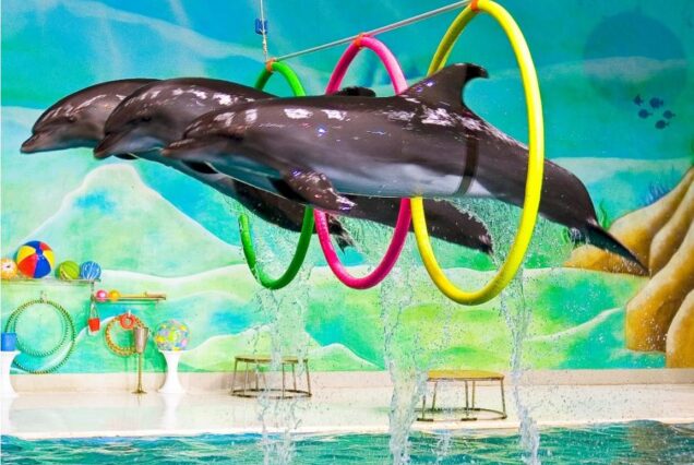 Dubai Dolphinarium