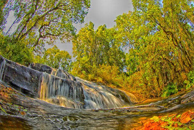 malawi visa fees