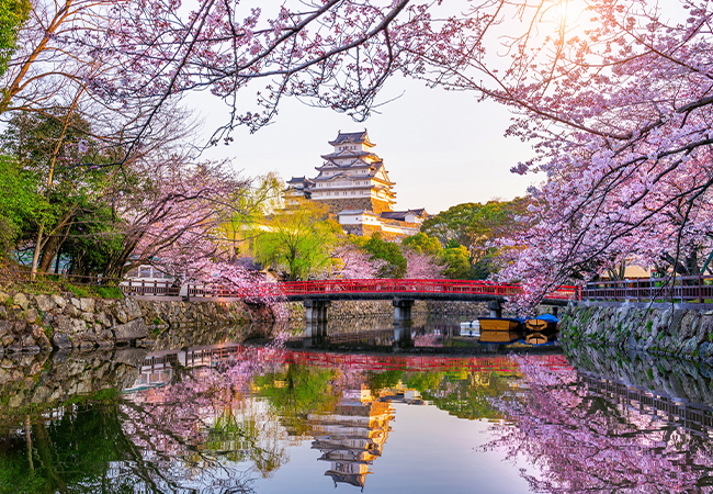 Himeji Exquisite Walk: Explore Japan's Best-Preserved Feudal Castle and Historic Streets