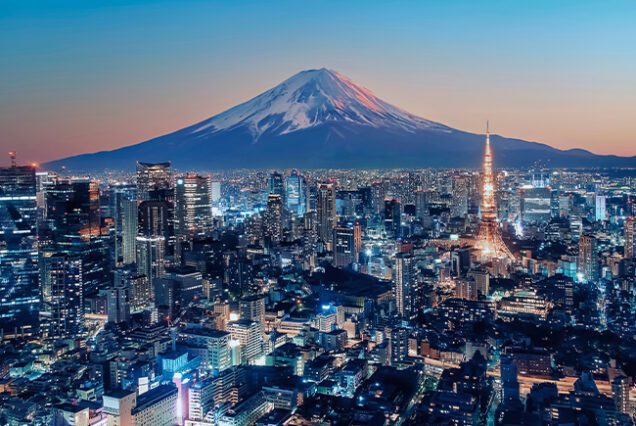 Tokyo City viewed from high up at sunset, Japan