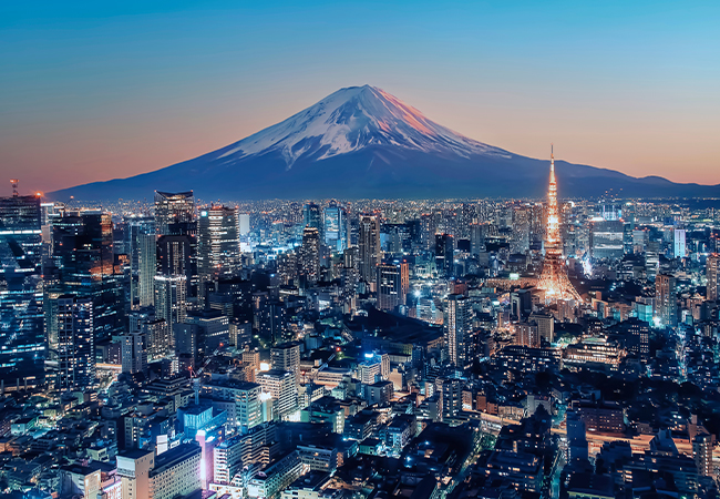 Tokyo City viewed from high up at sunset, Japan