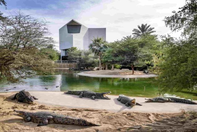 Crocodile Park Dubai Tickets