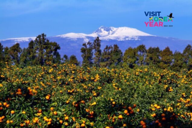 Korea Luxury Holiday Package from Dubai, UAE