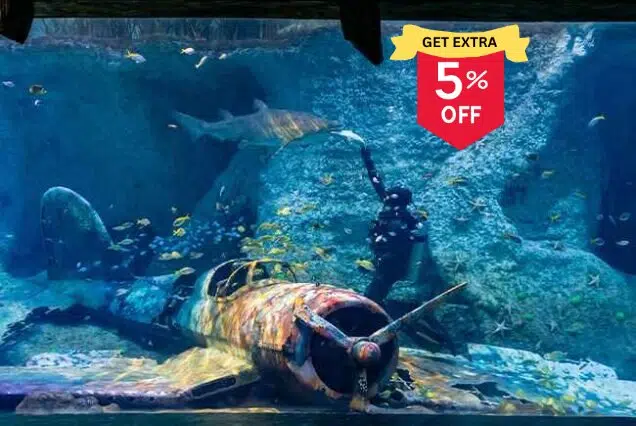 National Aquarium Abu Dhabi UAE