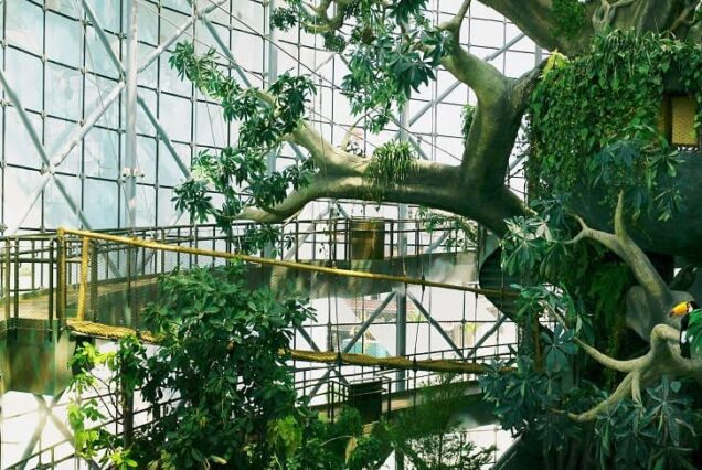 The Green Planet Dubai Tickets