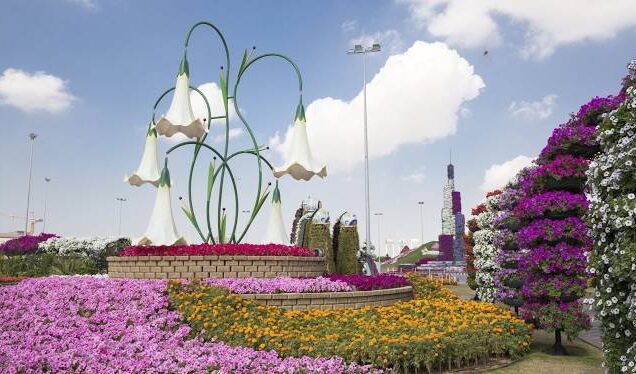 Butterfly Garden Dubai Entrance Ticket