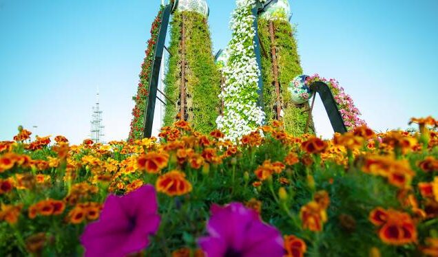 Butterfly Garden Dubai Entrance Ticket