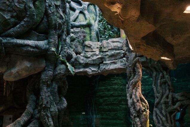 The Green Planet Dubai Tickets