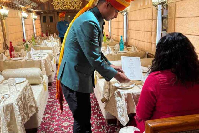 Palace on Wheels - Luxury Train Tour from Dubai, UAE