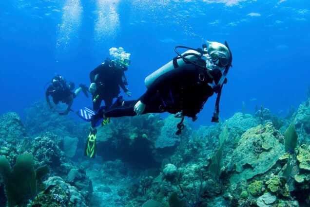 Scuba Diving Dubai UAE