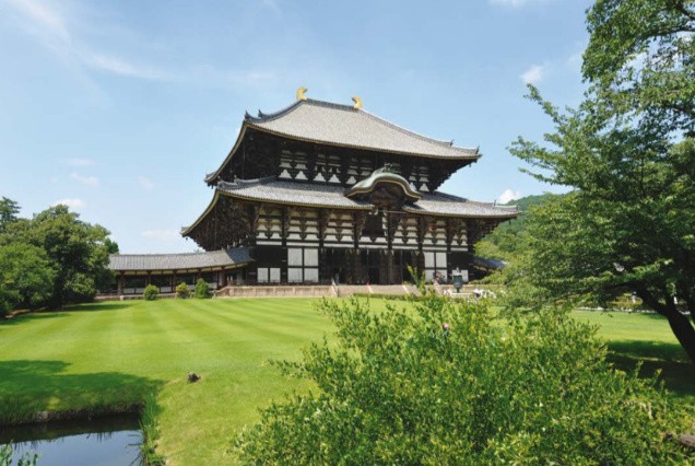 Cherry Blossom – Japan Travel Package from Dubai, UAE