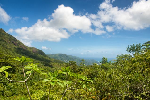 Morne Seychellois National Park – Hike with a View