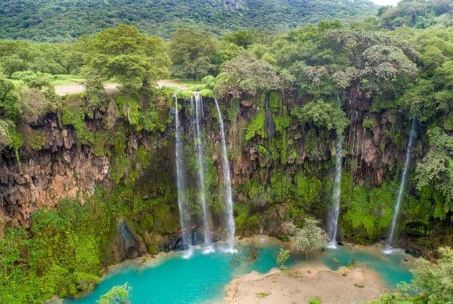 Salalah, Oman – The Middle East’s Hidden Rainy Gem