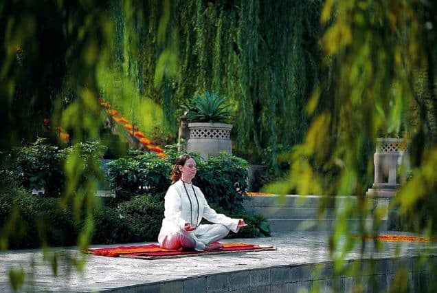 Ananda in the Himalayas Wellness Package