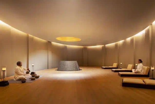 Dharana at Shillim Wellness Package