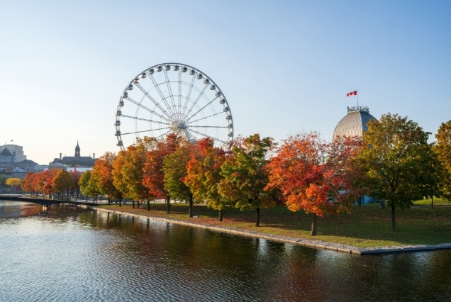 Canada Maple Toronto, Ottawa and Montreal Tour Package