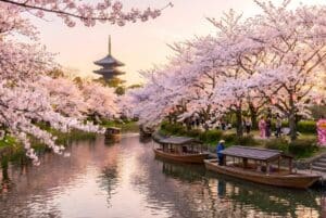 Cherry blossom trees in full bloom lining a scenic canal with traditional wooden boats in Kyoto, Japan, featuring the Toji Temple pagoda at sunset.