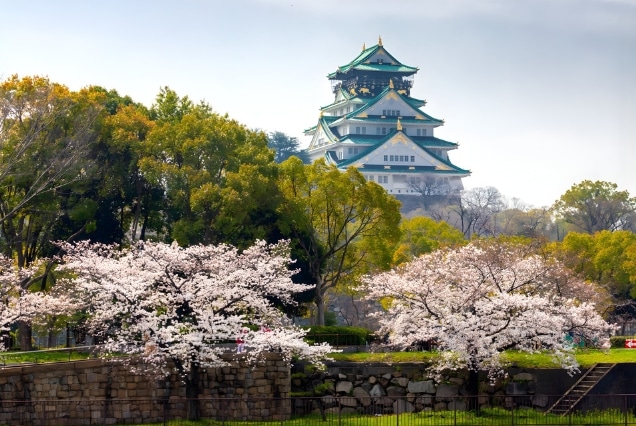 Osaka - Vibrant Energy Meets Sakura Season