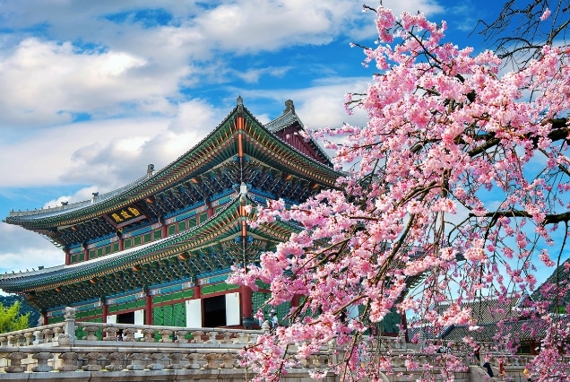 Seoul’s Vibrant Blend of Culture and Color