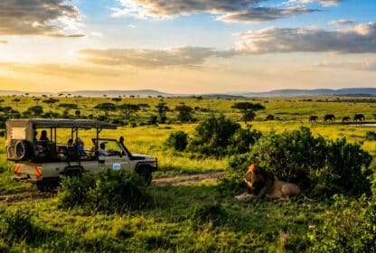 Tourists on Kenya holiday packages from Dubai observing a lion and distant elephants during a sunset safari.