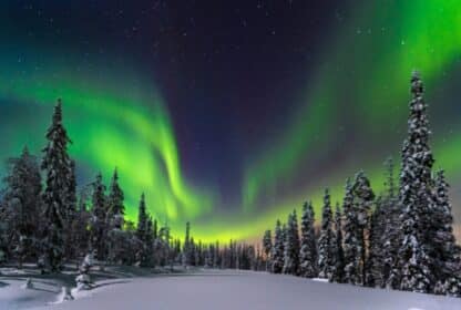 Vibrant green Northern Lights dancing across a starry night sky over a snow-covered pine forest in Lapland, Finland.