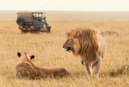 Africa Travel Guide 2026 from Dubai: Regions & Visa Help