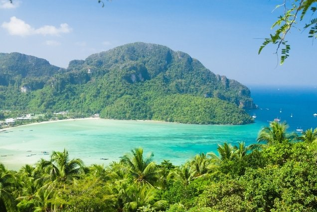 Turquoise bay and green cliffs of Phi Phi Island viewed from above – Phuket and Phi Phi Island Tour Package